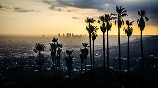 Los Angeles Estate Planning Law Offices